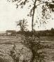 Pohled na prázdný rybník a zahradnictví Růžičků od stavidla (asi 1961).